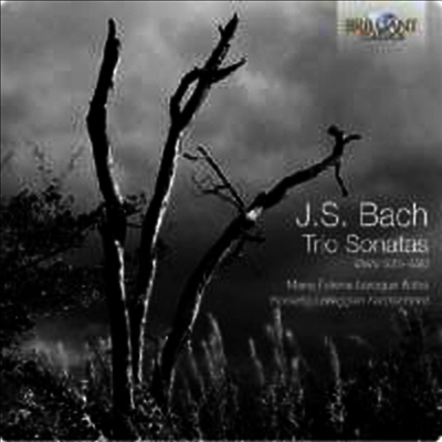 바흐: 플루트 소나타 작품집 (Bach: Flute Sonatas BWV 525 - 530)(CD) - Mario Folena