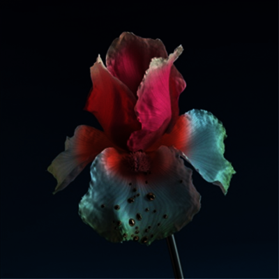 Flume — Tiny Cities / Take A Chance (Remix) 앨범 커버