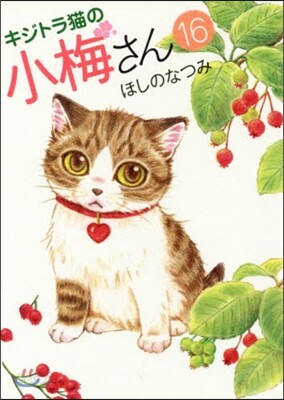 キジトラ猫の小梅さん 16