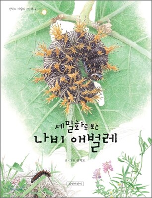 세밀화로 보는 나비 애벌레
