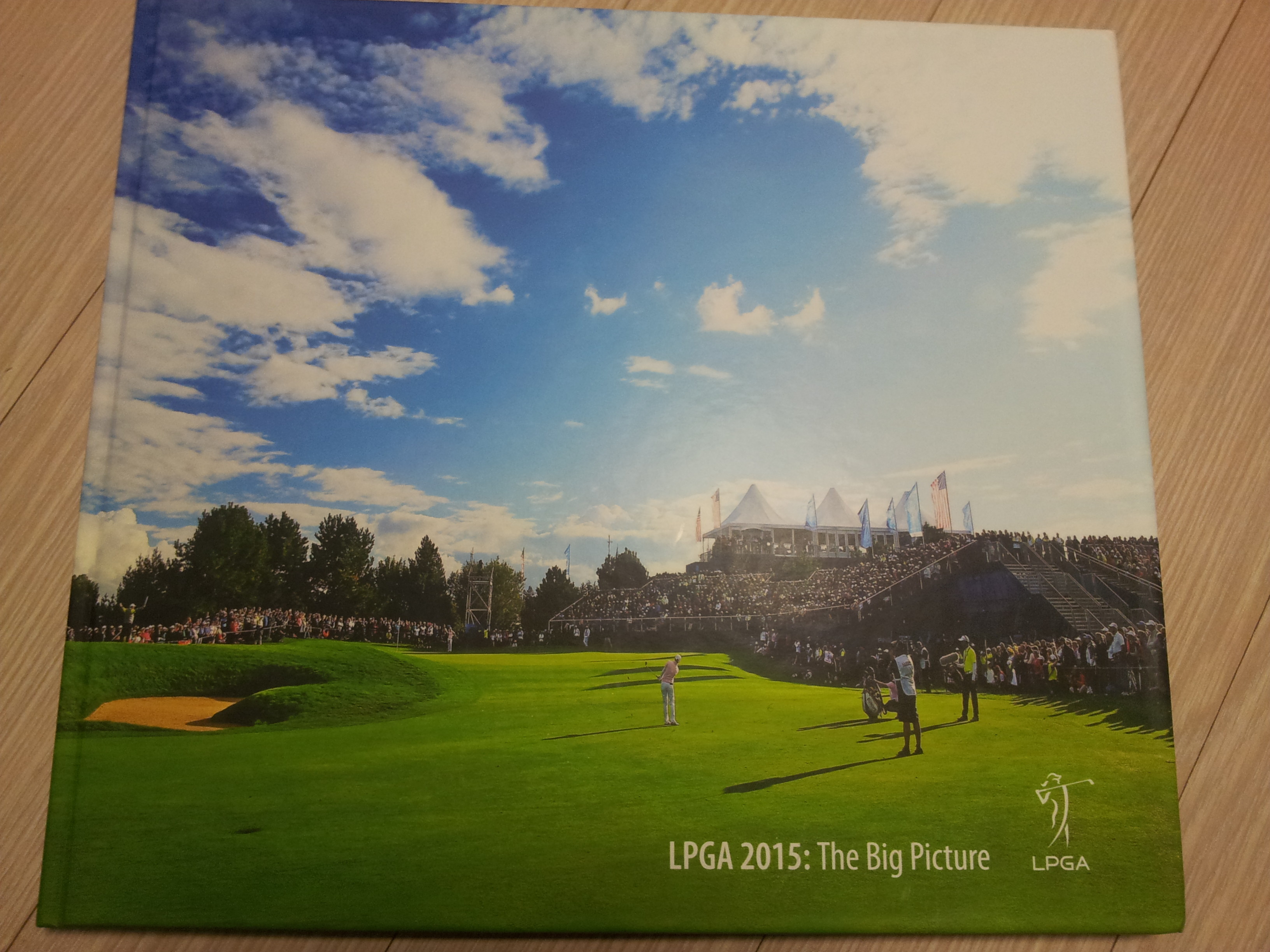 LPGA 2015: The Big Picture 