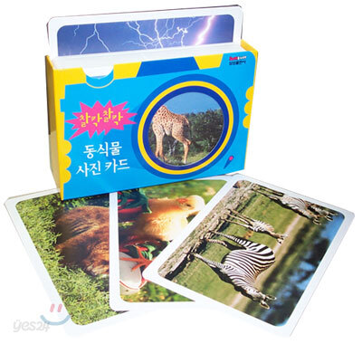찰칵찰칵 동식물 사진카드