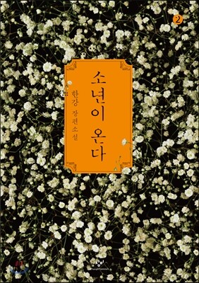 소년이 온다 2 (큰글자책)