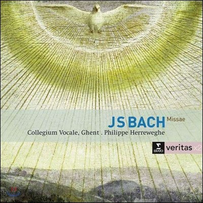 Philippe Herreweghe : ̻ (Bach: Masses BWV233-236)