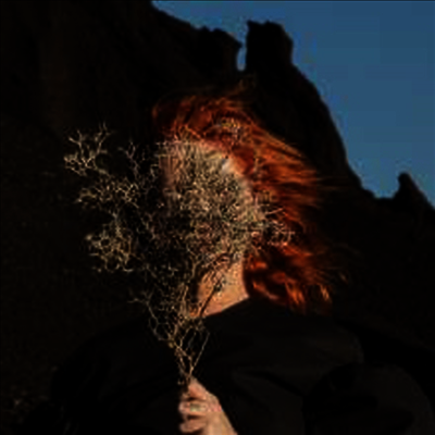 Goldfrapp — Silver Eye (Limited Edition)(Gatefold Cover) 앨범 커버
