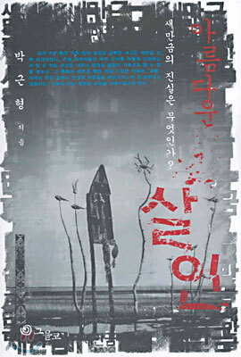 아름다운 살인