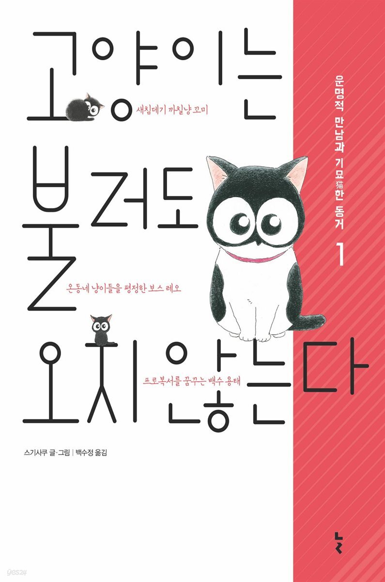고양이는 불러도 오지 않는다 1