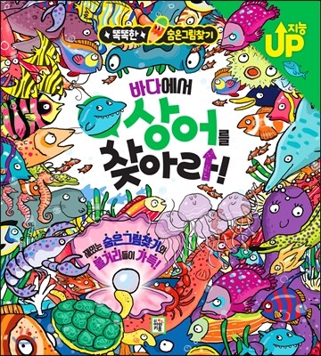 바다에서 상어를 찾아라!