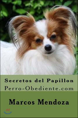 Secretos del Papillon: Perro-Obediente.com