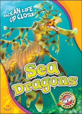 Sea Dragons