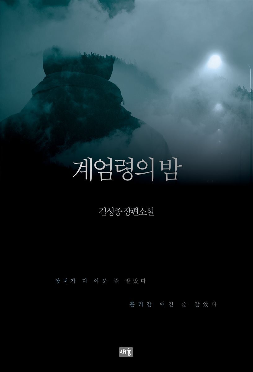 계엄령의 밤