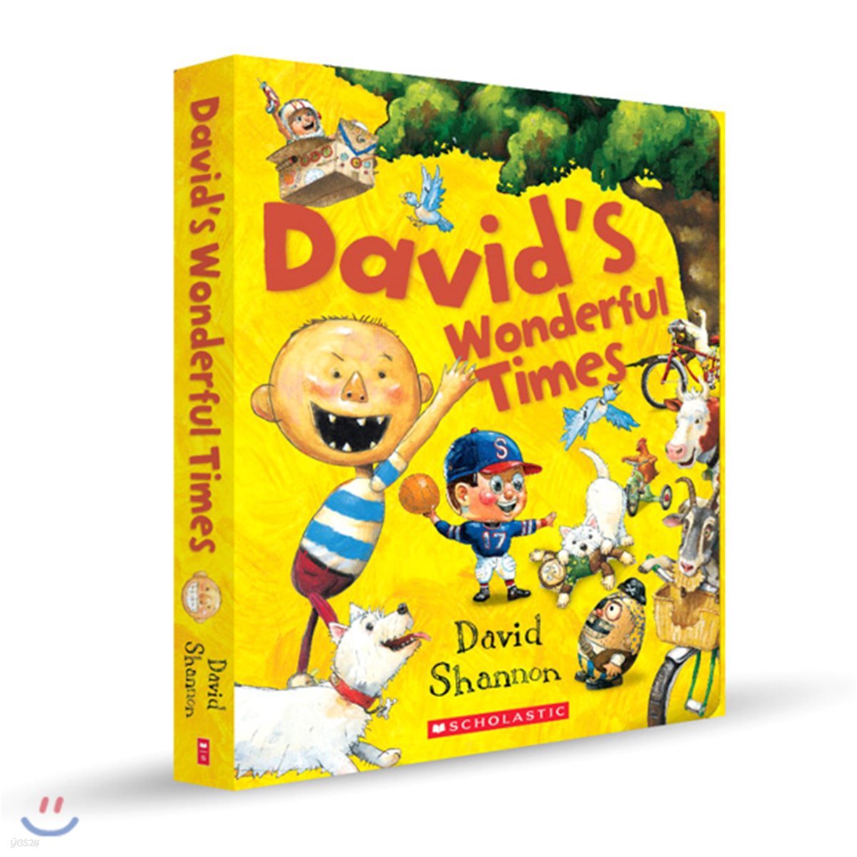 David's Wonderful Times