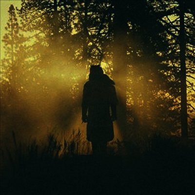 Thundercat — Beyond / Where The Giants Roam 앨범 커버