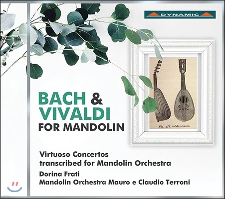 Dorina Frati  ߵ ǰ - ְ [ ɽƮ  ] (J.S. Bach & Vivaldi for Mandolin - Virtuoso Concertos) ÷Ʈ  & Ŭ ׷ε ɽũ,  Ƽ