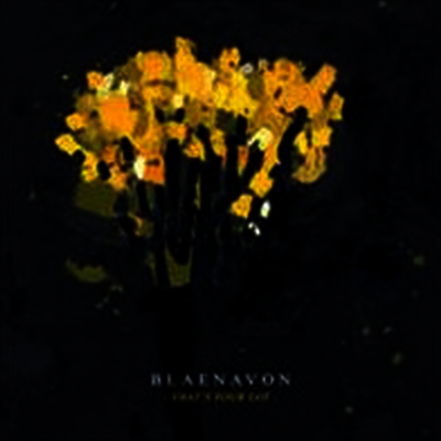 Blaenavon — That's Your Lot 앨범 커버