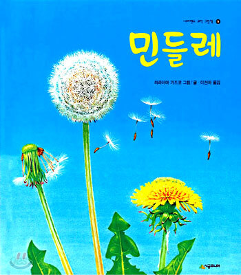 민들레