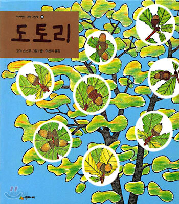 도토리