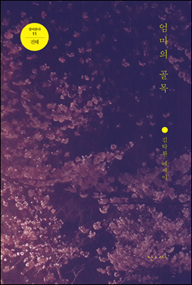 엄마의 골목 - 걸어본다 11 진해