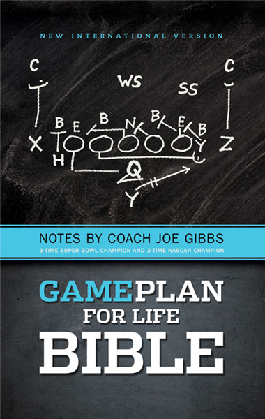 NIV, Game Plan for Life Bible, eBook