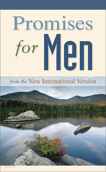 NIV, Promises for Men, eBook