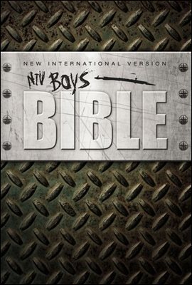 NIV, Boys Bible, eBook