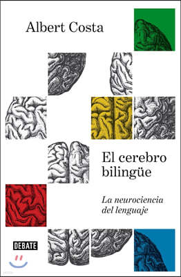 El Cerebro Bilingue / The Bilingual Brain
