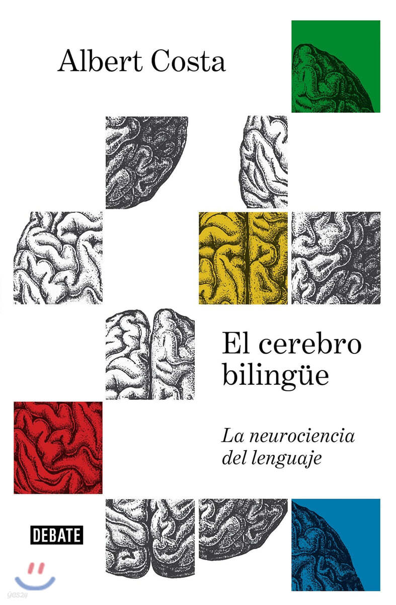 El Cerebro Bilingue / The Bilingual Brain