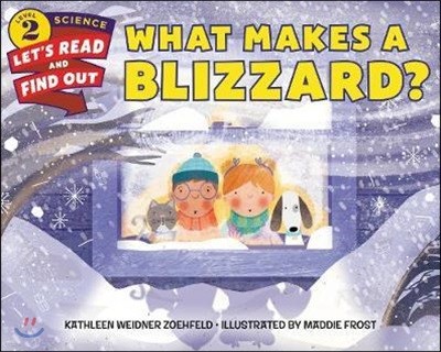 What Makes a Blizzard?