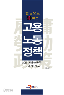 한권으로 통하는 고용노동정책 : 2015 고용노동부 사업 및 제도