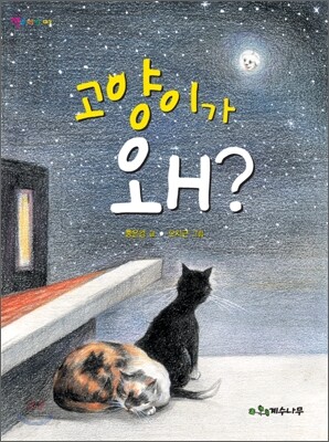 고양이가 왜?