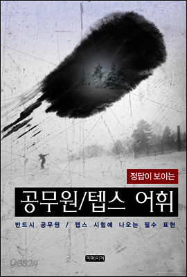 (정답이 보이는) 공무원/텝스 어휘