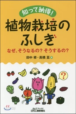 知って納得!植物栽培のふしぎ