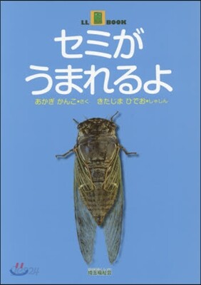 セミがうまれるよ