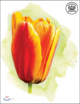 Notebook Kingdom Flower Series: Flower Notebook Notepad Journal Diary or Composition Book Blank 100 Pages 8.5x11 Beautiful Tulip