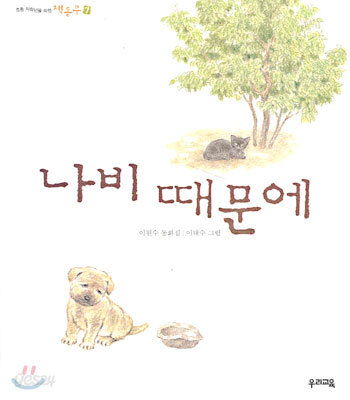 나비 때문에
