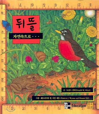 뒤뜰