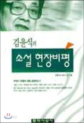 김윤식의 소설 현장비평