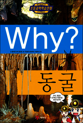 Why? 와이 동굴