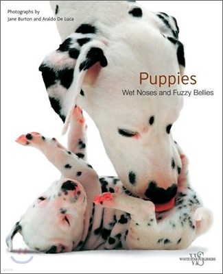 Puppies : Wet Noses and Fuzzy Bellies
