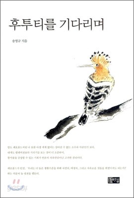 후투티를 기다리며
