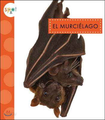 El Murcielago / Bats