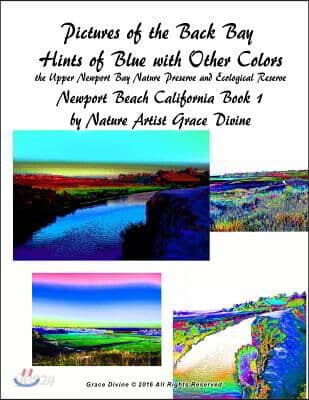 Pictures of the Back Bay Hints of Blue with Other Colors the Upper Newport Bay Nature Preserve and Ecological Reserve Newport Beach California Book 1