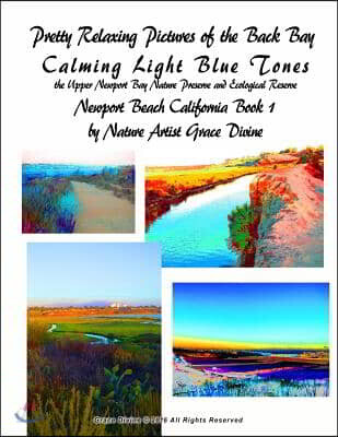 Pretty Relaxing Pictures of the Back Bay Calming Light Blue Tones the Upper Newport Bay Nature Preserve and Ecological Reserve Newport Beach Californi