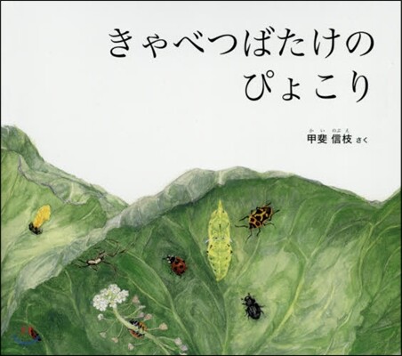 きゃべつばたけのぴょこり