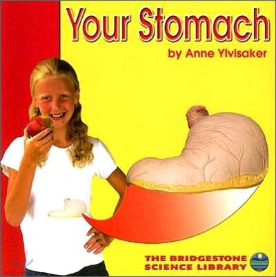 Your Stomach