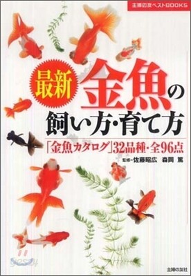 最新金魚の飼い方.育て方