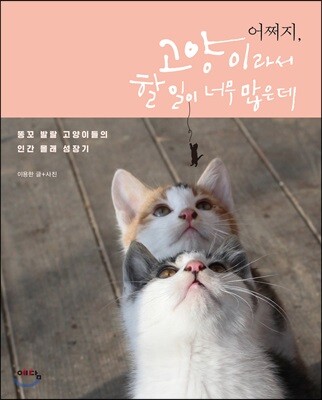 도서명 표기