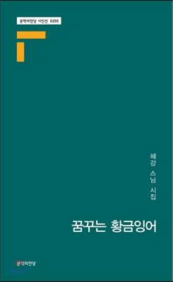 꿈꾸는 황금잉어