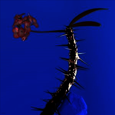 Flume — Skin Companion EP II 앨범 커버