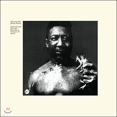 Muddy Waters — After The Rain 앨범 커버